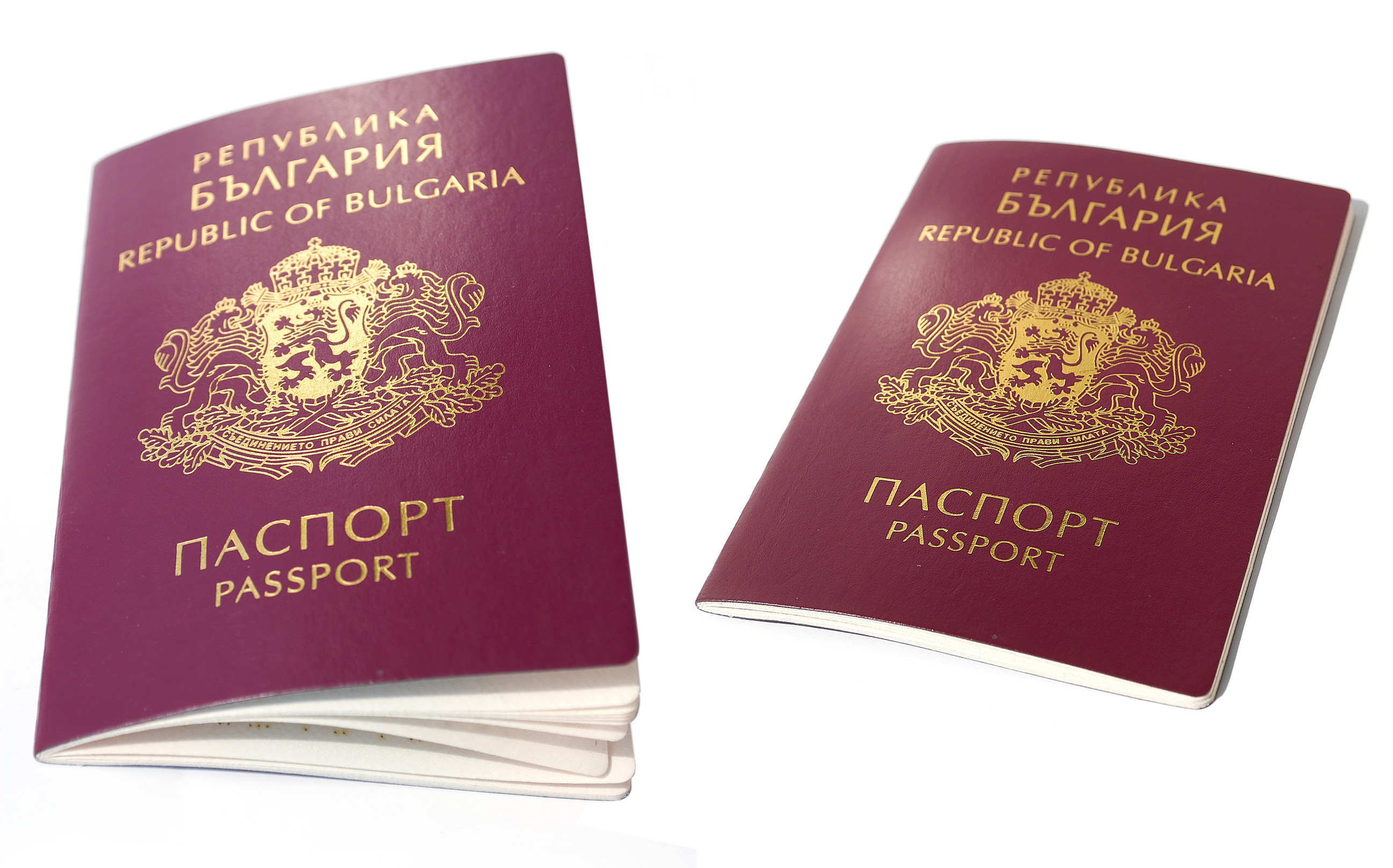 passaporto bulgaro isolato su sfondo bianco passaporto bulgaro isolato su sfondo bianco