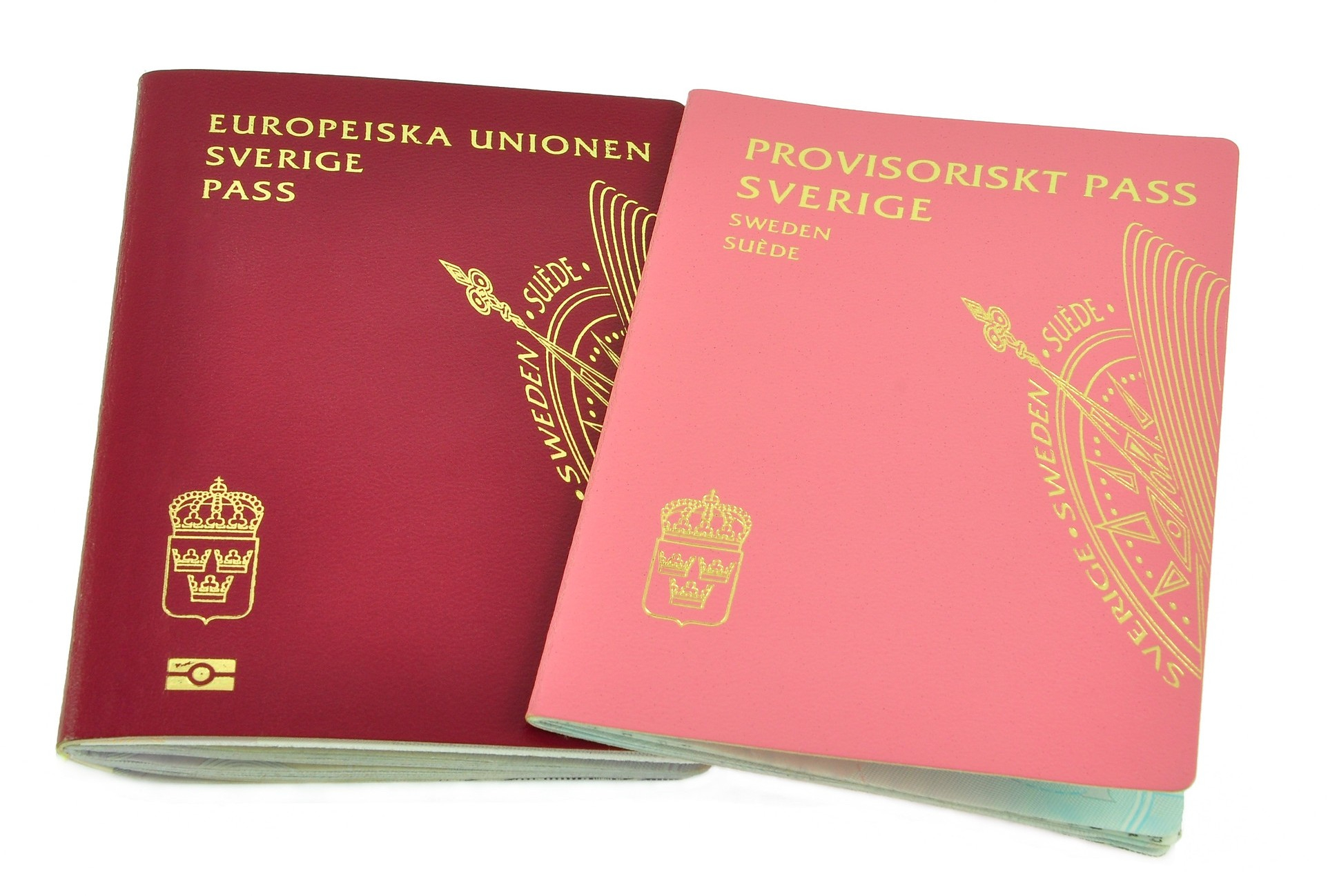 Passaporti svedesi isolati su sfondo bianco Passaporti svedesi isolati su sfondo bianco